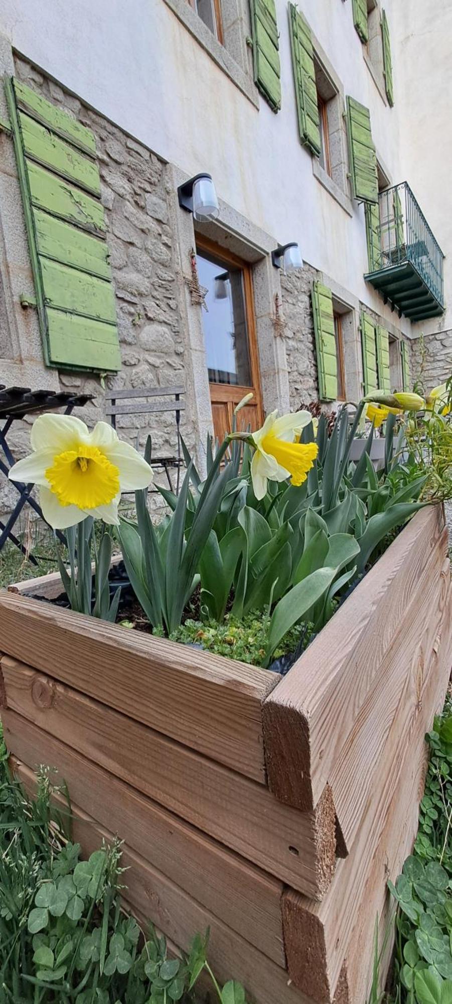 Le Grenier Des Moineaux Bed & Breakfast Font-Romeu-Odeillo-Via Bagian luar foto